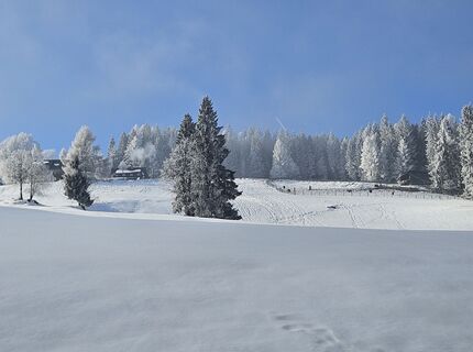 Foto von Franz Russ entlang der Tour