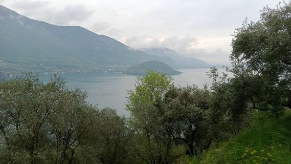 Fotografija s spletne strani Andrea Guiato na poti