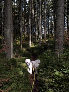 Foto fra Florian H. 2 undervejs på turen
