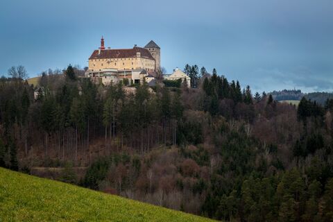 Blick auf Schloss Krumbach