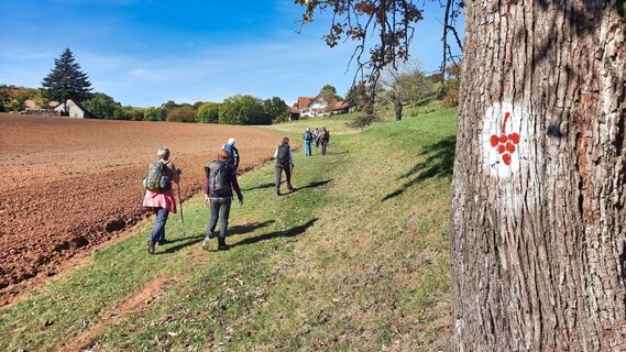 Eindeutige Markierungen