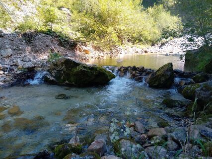 Foto von Wanderkatze entlang der Tour