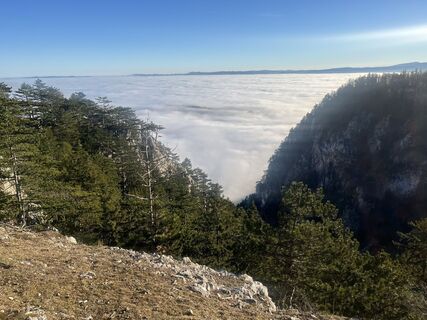 Fotografia z kristianduus na trase