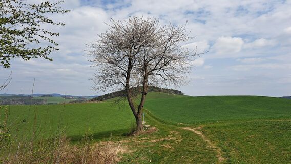 Fotografija s spletne strani Roland Meitz na poti