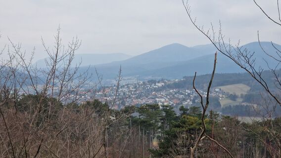 Fotografia z Claudia Maurer na trase