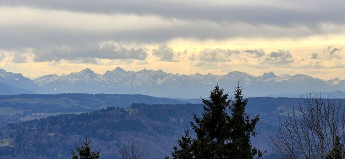 Фото с сайта Thomas Schekira во время экскурсии