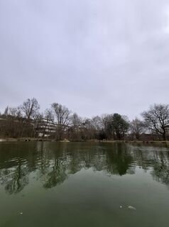 Fotografija s spletne strani rgbkiller na poti