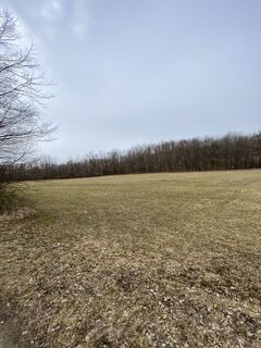 Foto de Benediktus_prim a lo largo del recorrido