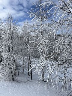 Foto von Verena liebhart entlang der Tour