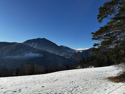 Foto von Heidi Riegler entlang der Tour