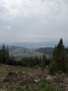 Fotografia z Mandy Friedrich na trase