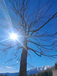 Foto de GAdamec a lo largo del recorrido