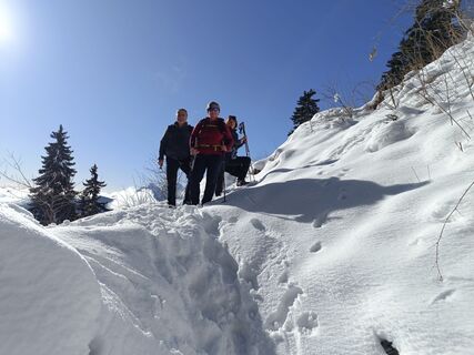 Foto von Whity entlang der Tour