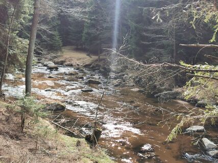 Fotografia z Michael Leisser na trase