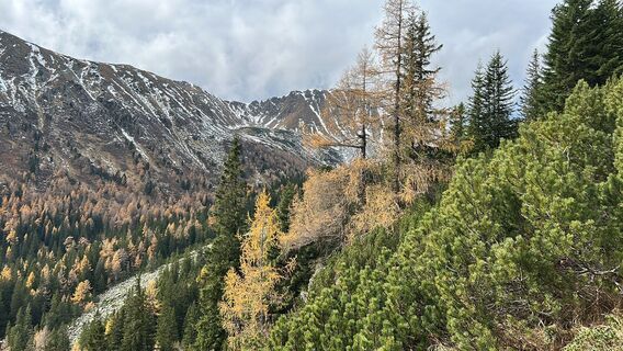 Photo de Andreas berdev le long du parcours