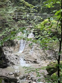 Foto da Henryk Pietrzyk lungo il tour