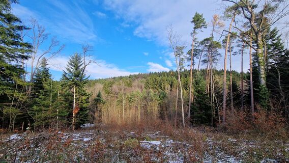 Foto von EP87 entlang der Tour