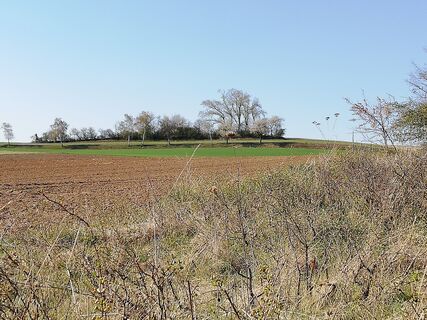 Blick zum Geißberg