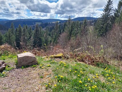 Fotografie z Daniel Gutmann na trase