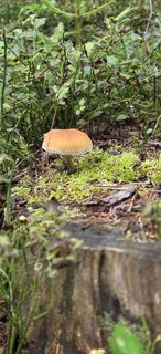 Photo de Nat Alia le long du parcours