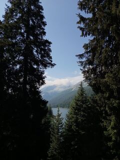 Fotografija s spletne strani Aner na poti