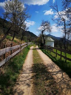 Foto de 3d63 ru^^n3r a lo largo del recorrido