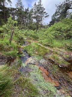 Foto von Cécile FECHOZ entlang der Tour