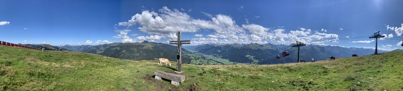 Foto da Koen De Wit lungo il tour