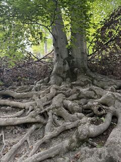 Foto da Olena Duriagina lungo il tour