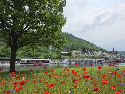 Zdjęcie z Noreen (NoKe) wzdłuż trasy