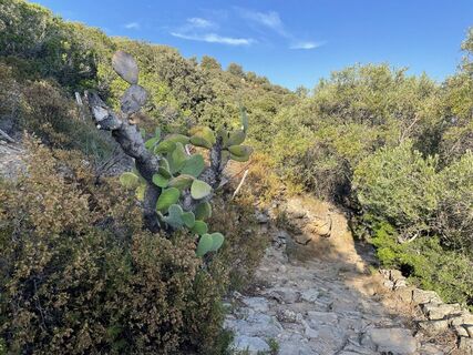 Wanderweg 9 : Giru di u Capu Curbinu