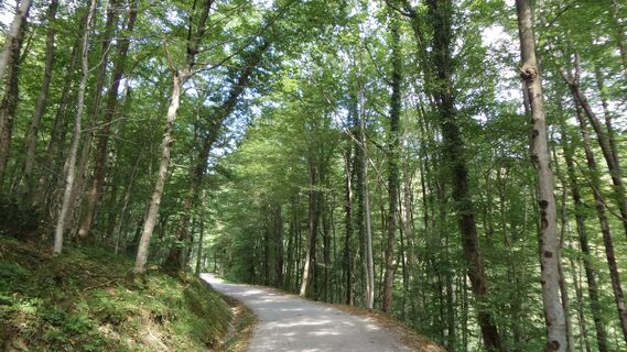 Auffahrtsstraße