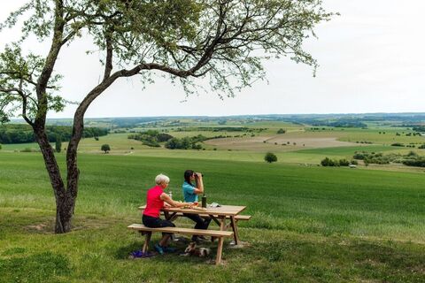 Rastplatz bei Ormesviller - Der Grenzgänger