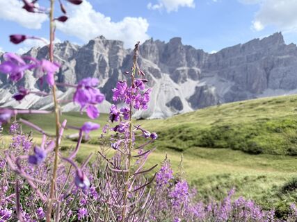 Foto von michele angelini entlang der Tour