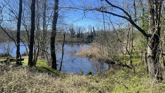 Zdjęcie z Lis Malzach wzdłuż trasy