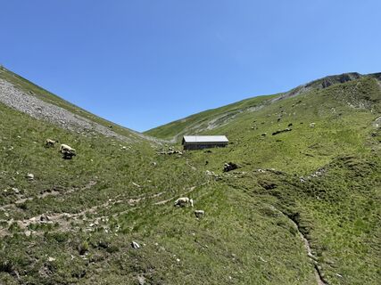 Fotografia z Silentpawel na trase