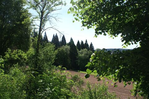 Aussicht in das Tal