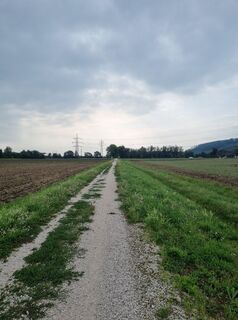 Foto von Babs Holz entlang der Tour