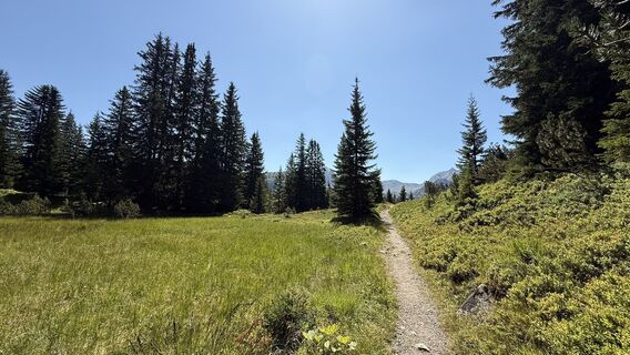 Foto von Florian Meyer 1 entlang der Tour