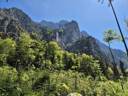 Foto von Padole entlang der Tour