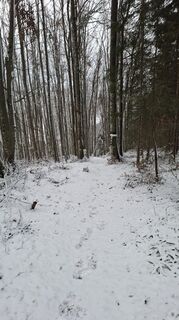 Foto von Jordy entlang der Tour