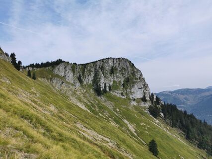Proleswände
