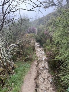 Foto von Andor Kulik entlang der Tour