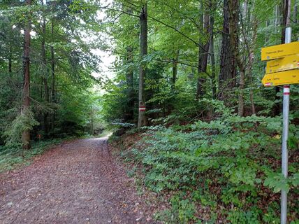 Photo de Steirer Bua le long du parcours