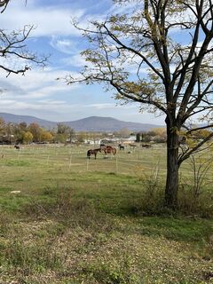 Fotografia z Vicaliza na trase