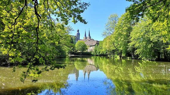 Blick auf die Abtei Marienmünster