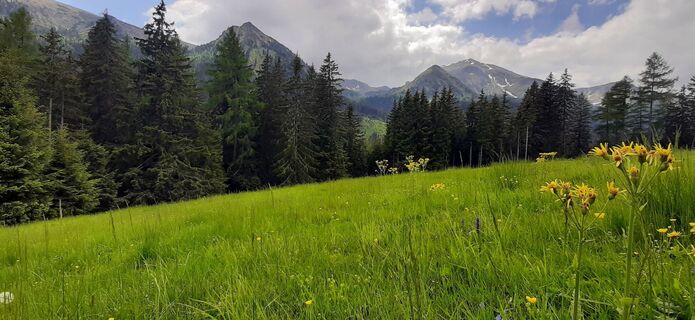 Foto von Aga M entlang der Tour