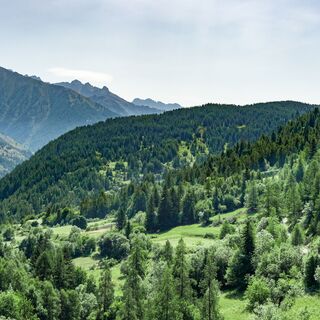 Saint-Dalmas-le-Selvage