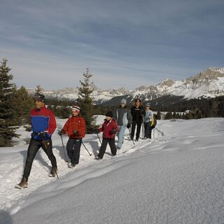 Winterwandern am Passo Lavazè