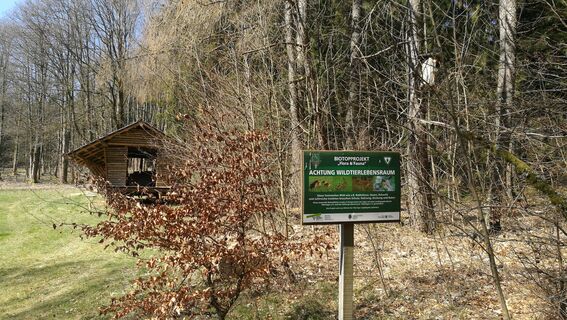 Wandern rund um Harra und Mühlberg